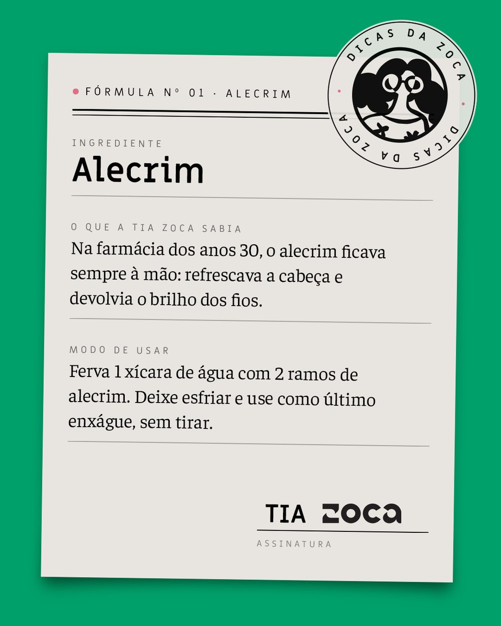 Dica da Tia Zoca: alecrim